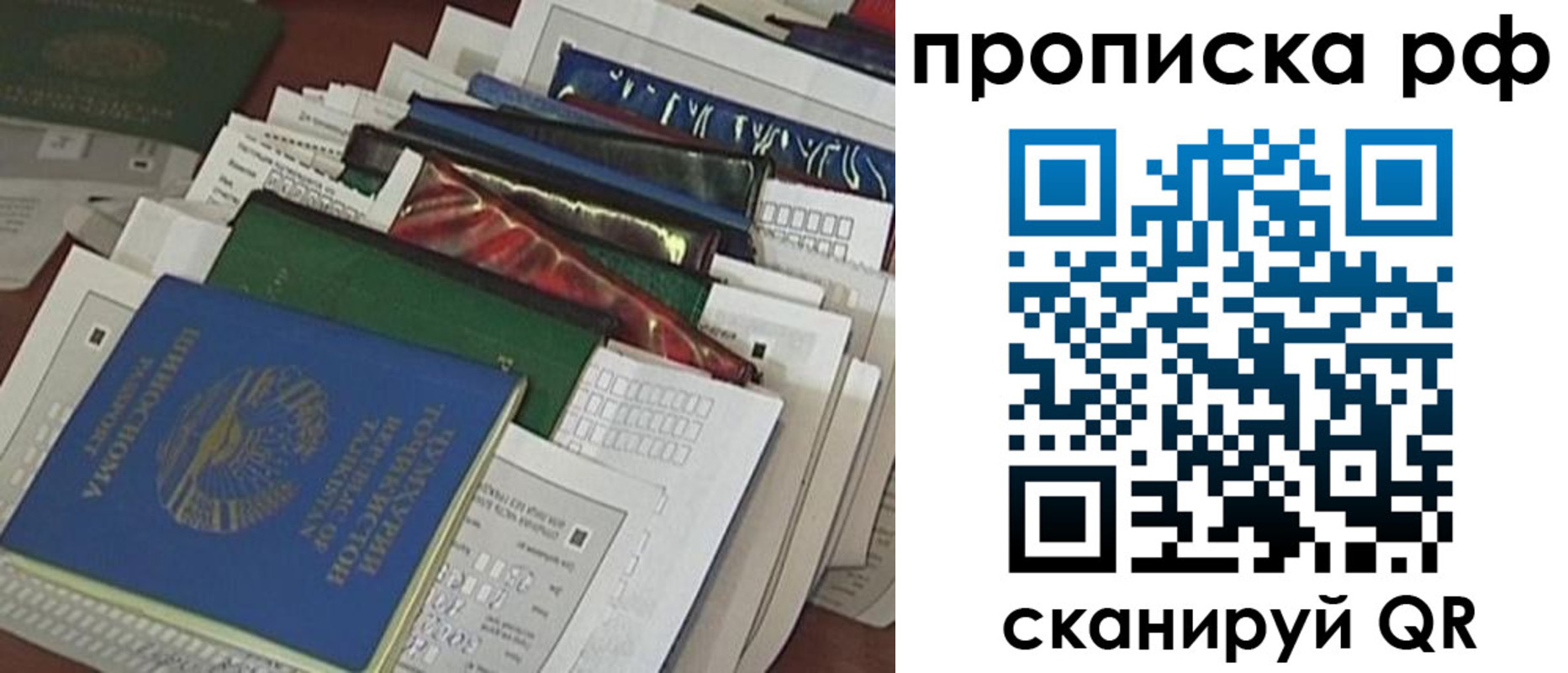 прописка в Сольцах